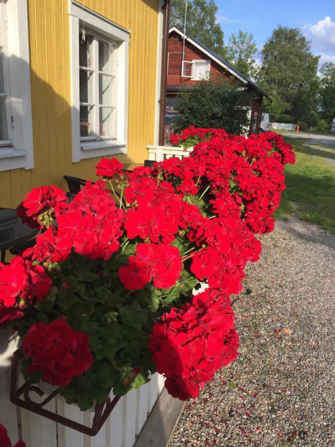 Enecopia Bed & Breakfast Enköping Exteriér fotografie
